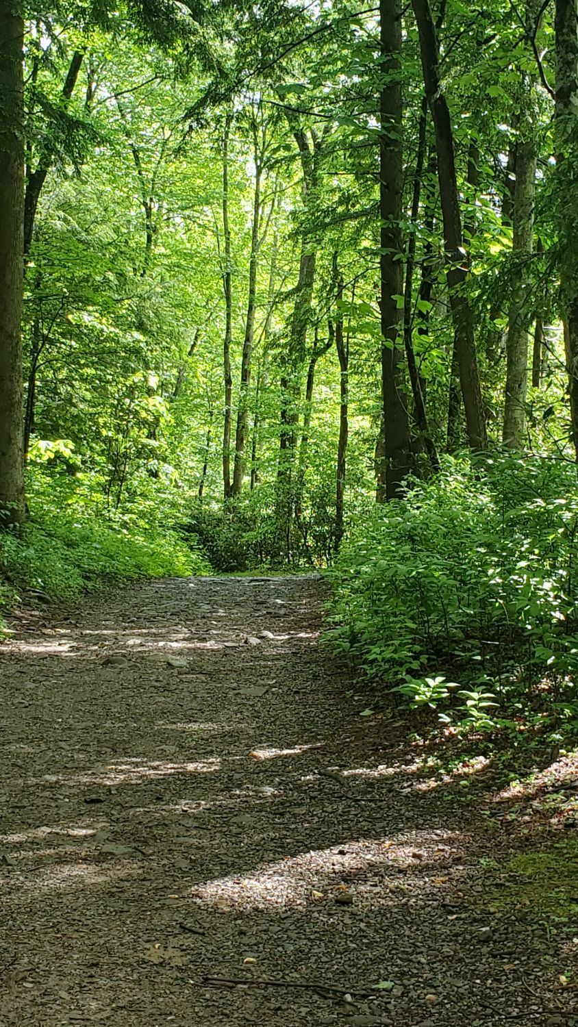 Porters Creek to Fern Falls 